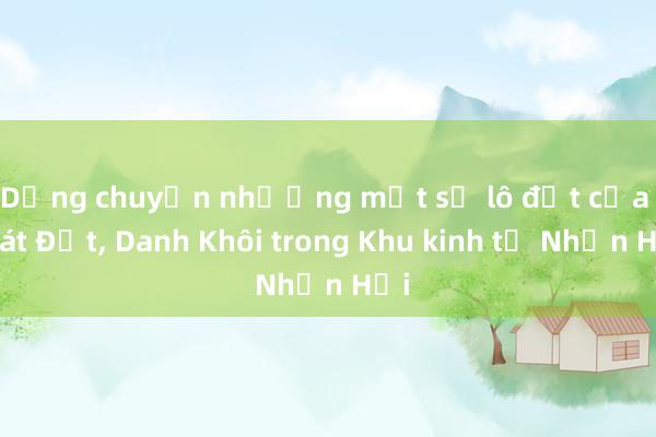 Dừng chuyển nhượng một số lô đất của Phát Đạt， Danh Khôi trong Khu kinh tế Nhơn Hội