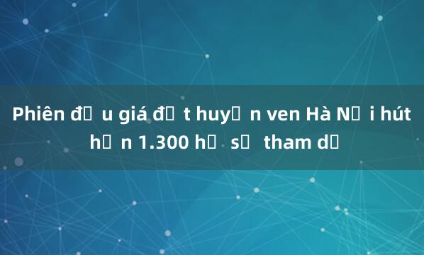 Phiên đấu giá đất huyện ven Hà Nội hút hơn 1.300 hồ sơ tham dự