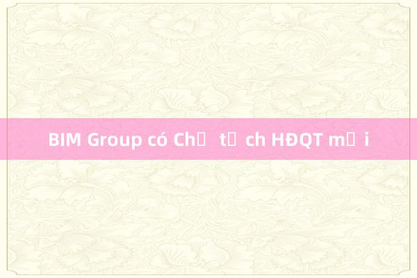 BIM Group có Chủ tịch HĐQT mới