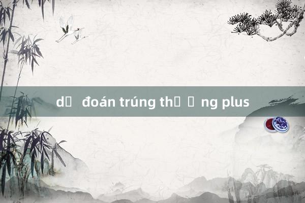 dự đoán trúng thưởng plus