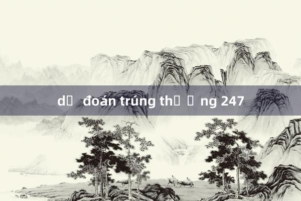 dự đoán trúng thưởng 247