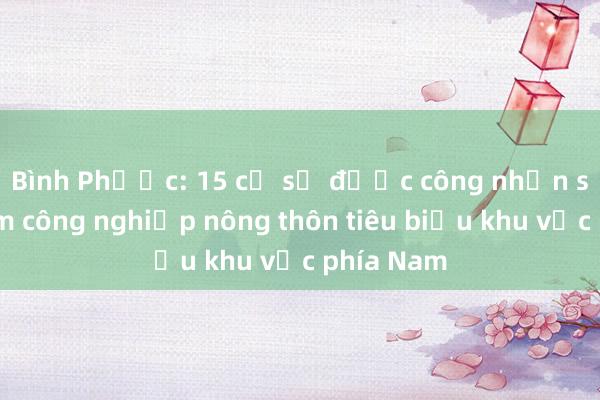 Bình Phước: 15 cơ sở được công nhận sản phẩm công nghiệp nông thôn tiêu biểu khu vực phía Nam