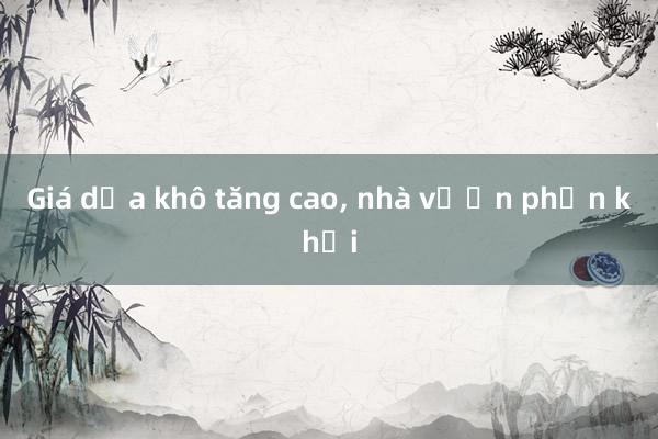 Giá dừa khô tăng cao， nhà vườn phấn khởi