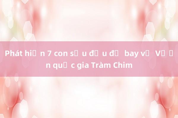 Phát hiện 7 con sếu đầu đỏ bay về Vườn quốc gia Tràm Chim