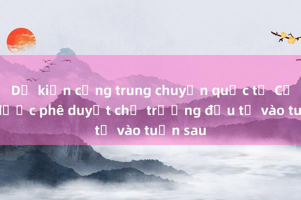 Dự kiến cảng trung chuyển quốc tế Cần Giờ được phê duyệt chủ trương đầu tư vào tuần sau