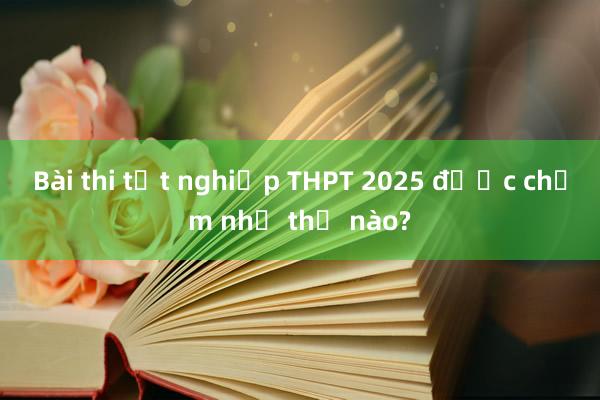 Bài thi tốt nghiệp THPT 2025 được chấm như thế nào?